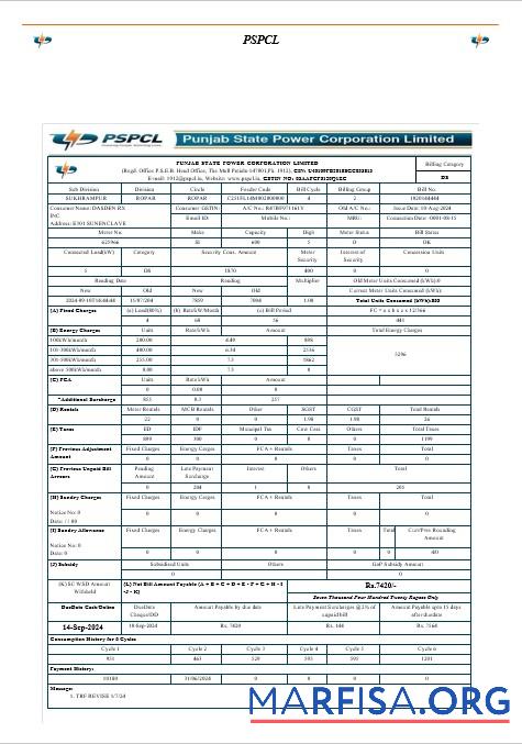 Blank INDIA PSPCL business utility bill Word and PDF template các trang đã xóa